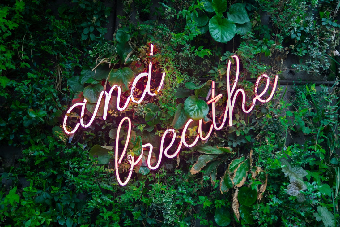 Meditation lernen: Ein Weg zur inneren Ruhe und Ausgeglichenheit - bclaire-shop