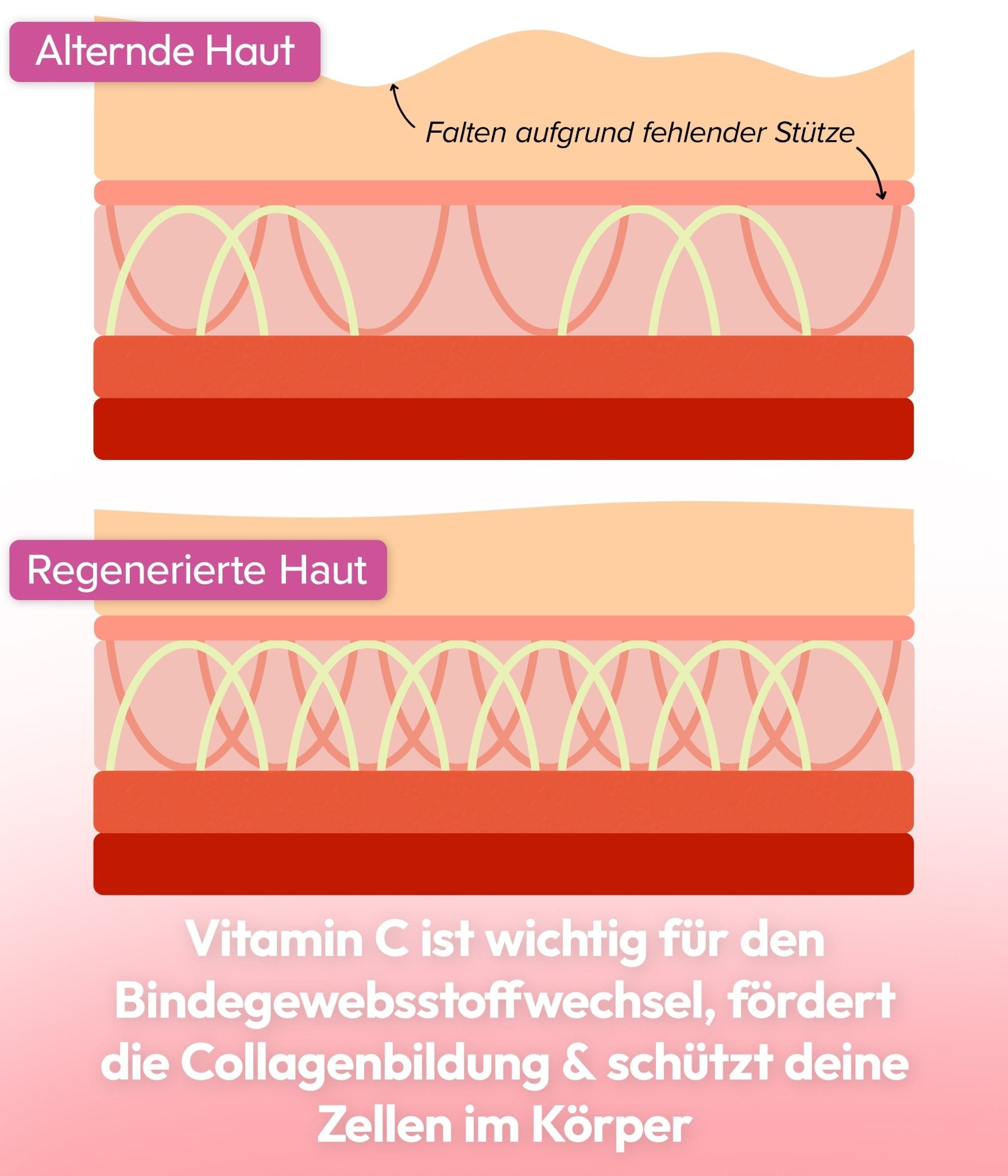 #Active_Collagen#